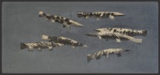 https://www.oliviercharpentier.com:443/files/gimgs/th-21_BDEF BROCHETS CROCODILES stagnants.jpg